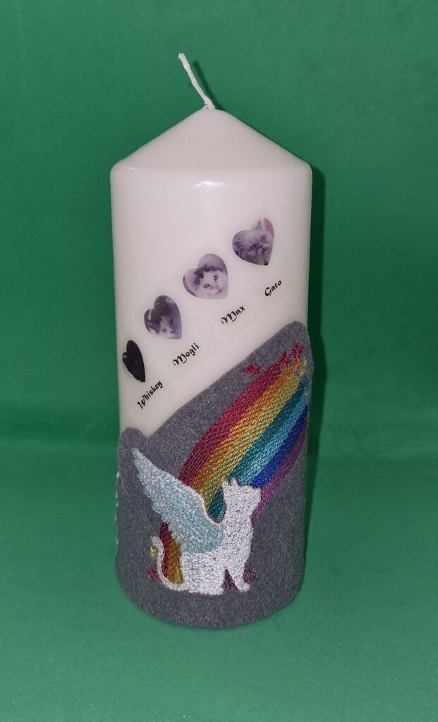 Regenbogenkatze Stickzebra Professionelle Stickdateien