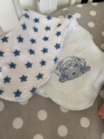 Hund Labrador - StickZebra