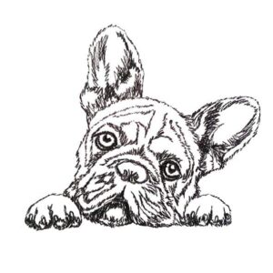 Hund Bulldogge - StickZebra