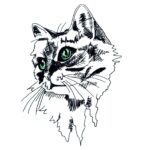 Katzengesicht - StickZebra