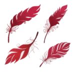 Feder Set " Himmlisches Quartett" - StickZebra