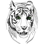 Tiger Doodle [Digital]