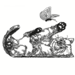 Kätzchen Doodle [Digital]