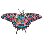 Blütenschmetterling [Digital]