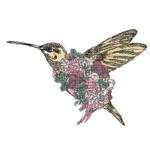 Paradies Kolibri [Digital]