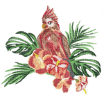 Kakadu Stickdatei [Digital]