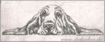 Hund Basset - StickZebra