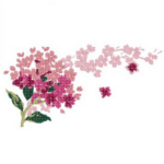 Blühende Blume [Digital]