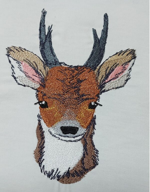 Kleines Reh [Digital] – Bild 4