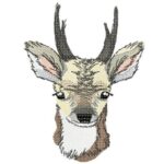 Kleines Reh [Digital]