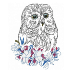 Eule im Doodle Stil [Digital]
