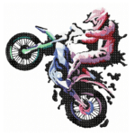 Biker Motocross [Digital]