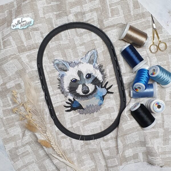 Frecher Waschbär [Digital] – Bild 2