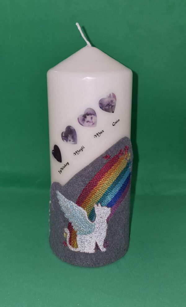 Regenbogenkatze [Digital] – Bild 3