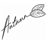 Herbstpfeil [Digital]